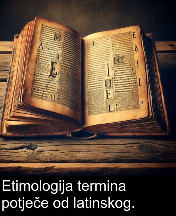 termina: Etimologija termina potječe od latinskog.