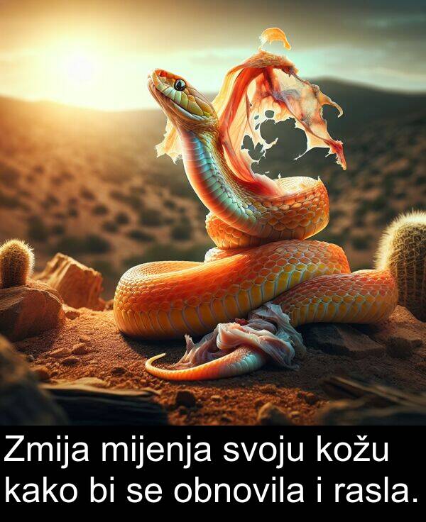 mijenja: Zmija mijenja svoju kožu kako bi se obnovila i rasla.