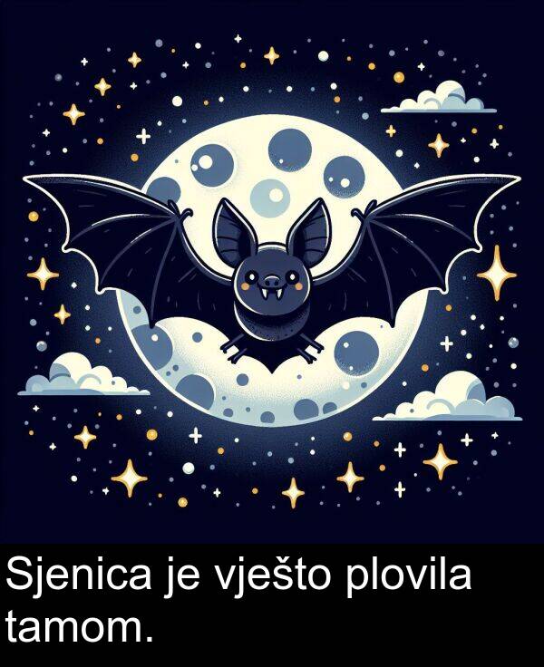 tamom: Sjenica je vješto plovila tamom.