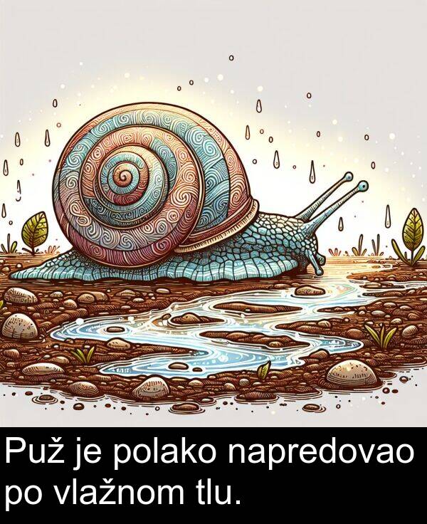 tlu: Puž je polako napredovao po vlažnom tlu.