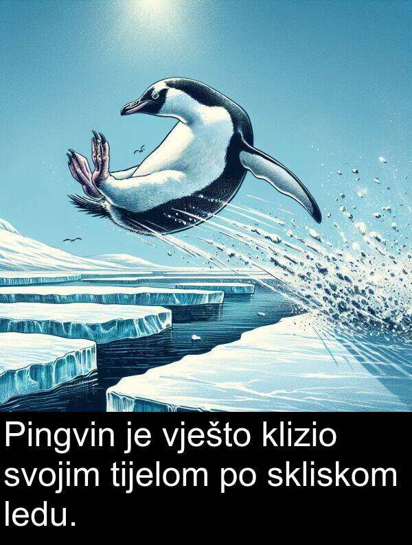 tijelom: Pingvin je vješto klizio svojim tijelom po skliskom ledu.
