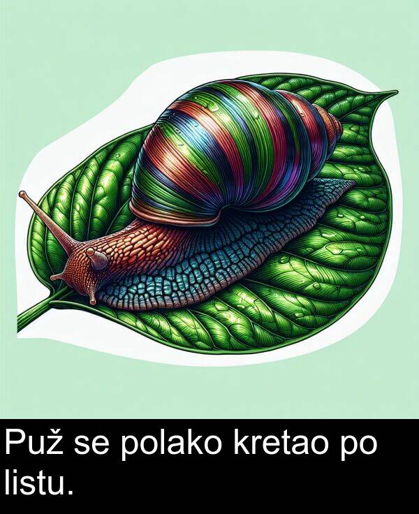 kretao: Puž se polako kretao po listu.