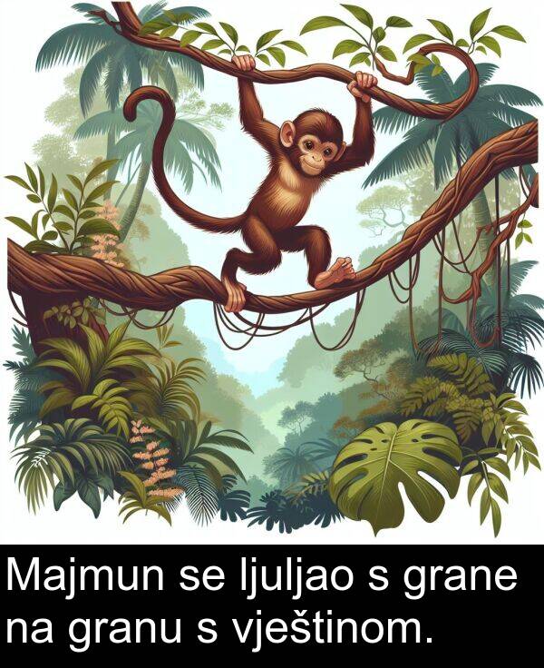 vještinom: Majmun se ljuljao s grane na granu s vještinom.