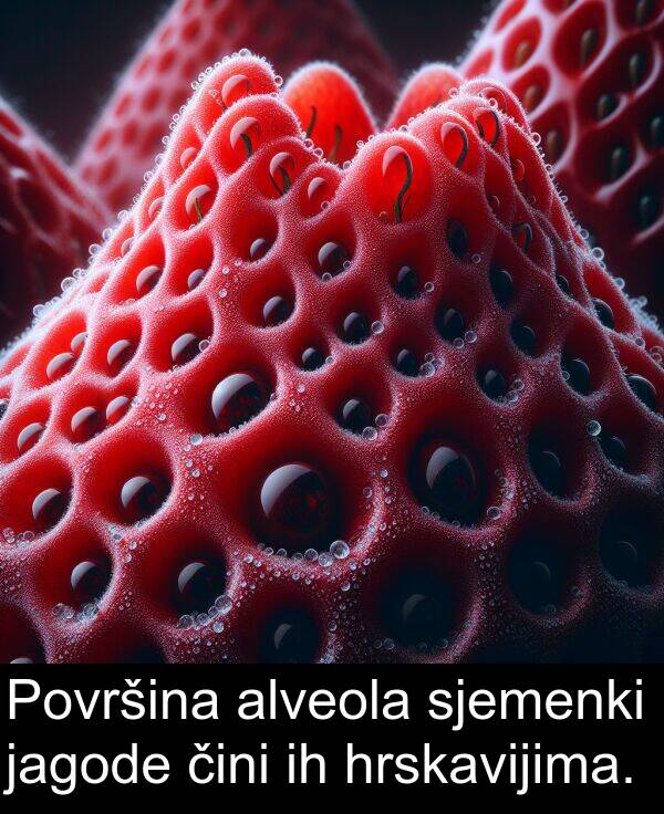 alveola: Površina alveola sjemenki jagode čini ih hrskavijima.