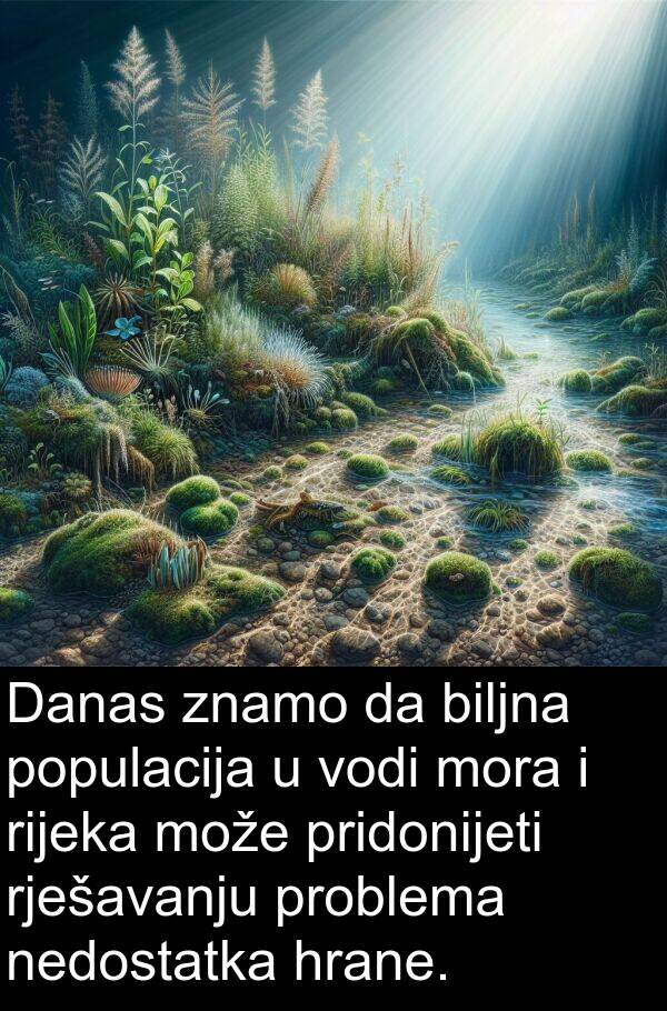 hrane: Danas znamo da biljna populacija u vodi mora i rijeka može pridonijeti rješavanju problema nedostatka hrane.