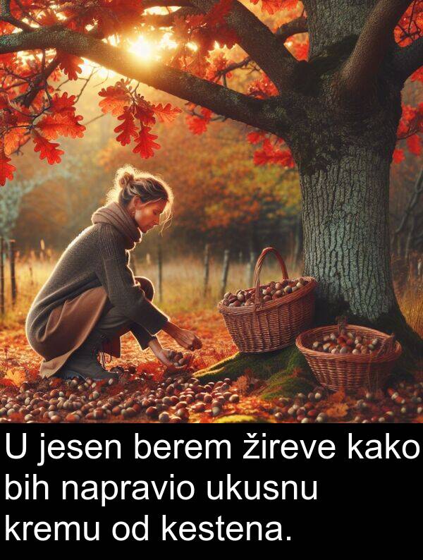 berem: U jesen berem žireve kako bih napravio ukusnu kremu od kestena.