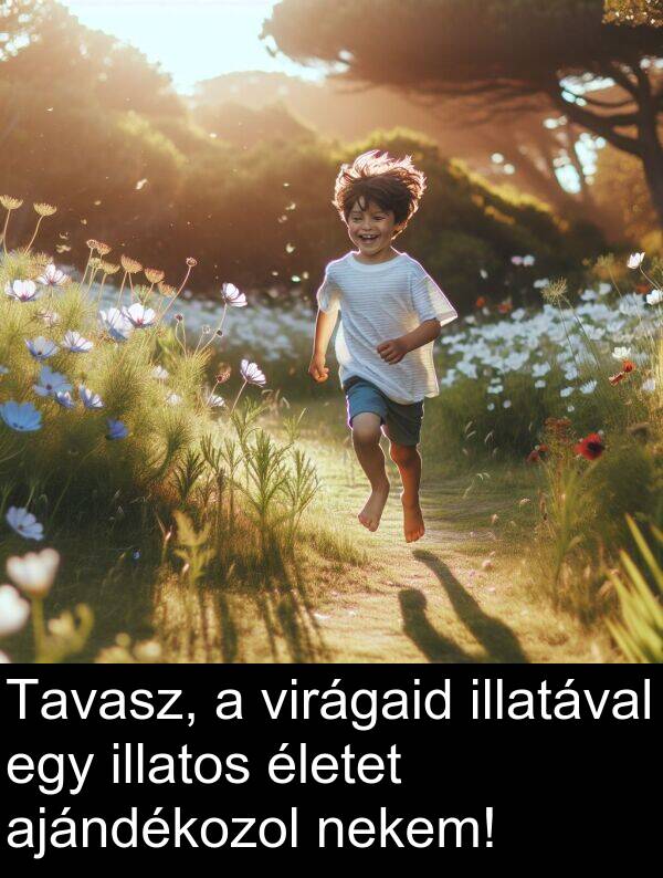nekem: Tavasz, a virágaid illatával egy illatos életet ajándékozol nekem!