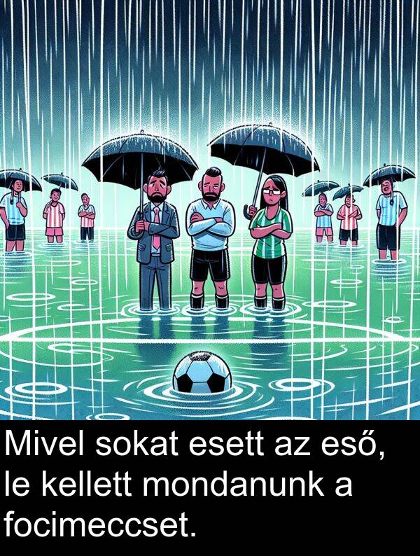 mondanunk: Mivel sokat esett az eső, le kellett mondanunk a focimeccset.