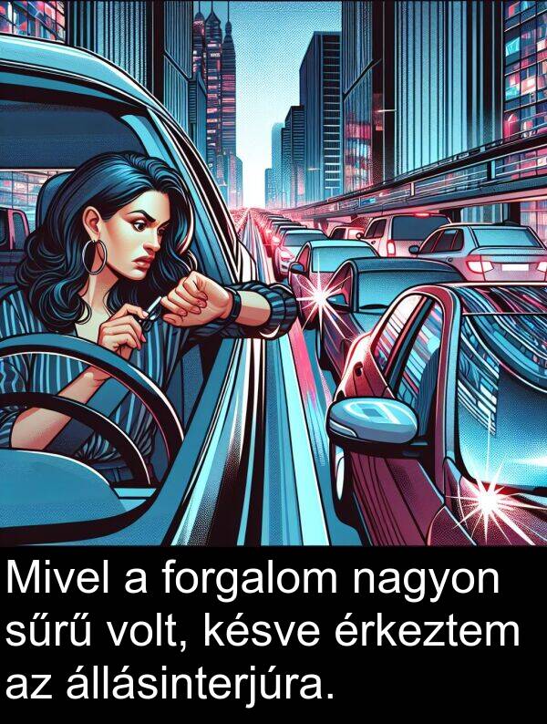 állásinterjúra: Mivel a forgalom nagyon sűrű volt, késve érkeztem az állásinterjúra.