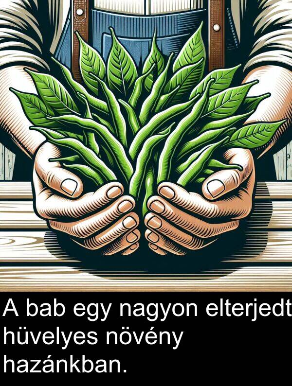 bab: A bab egy nagyon elterjedt hüvelyes növény hazánkban.