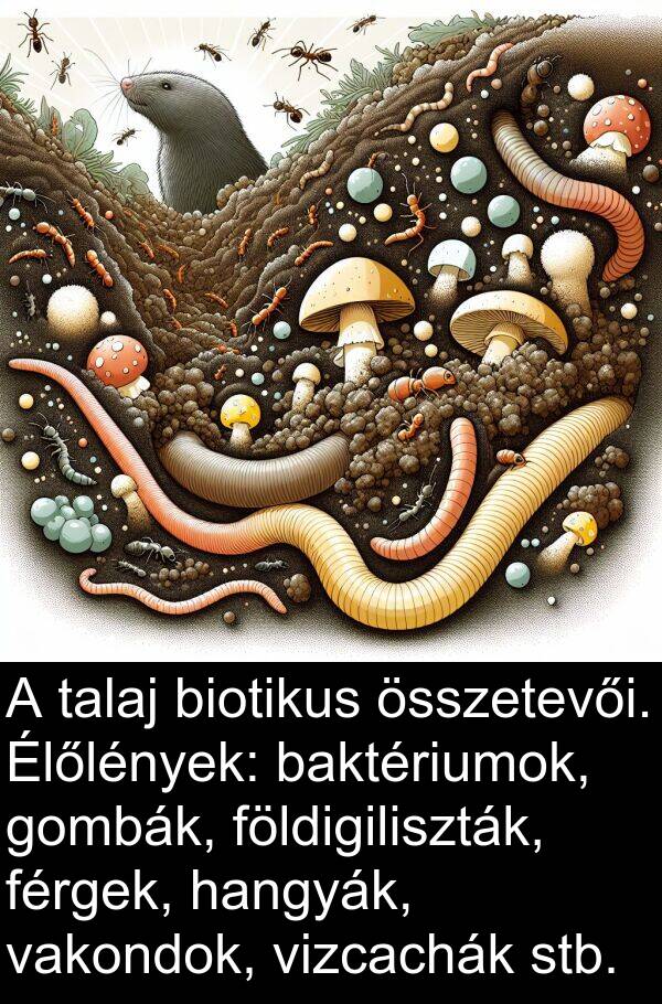 talaj: A talaj biotikus összetevői. Élőlények: baktériumok, gombák, földigiliszták, férgek, hangyák, vakondok, vizcachák stb.