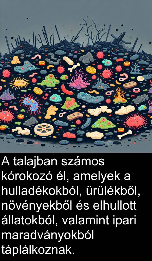 valamint: A talajban számos kórokozó él, amelyek a hulladékokból, ürülékből, növényekből és elhullott állatokból, valamint ipari maradványokból táplálkoznak.