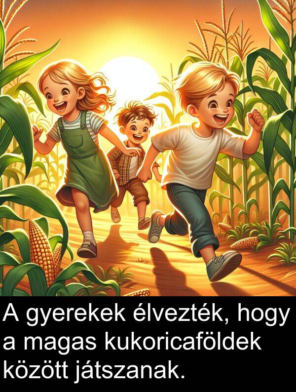 magas: A gyerekek élvezték, hogy a magas kukoricaföldek között játszanak.