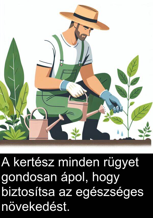 növekedést: A kertész minden rügyet gondosan ápol, hogy biztosítsa az egészséges növekedést.