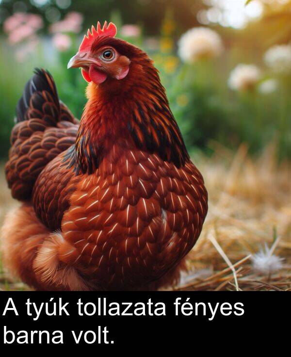 volt: A tyúk tollazata fényes barna volt.