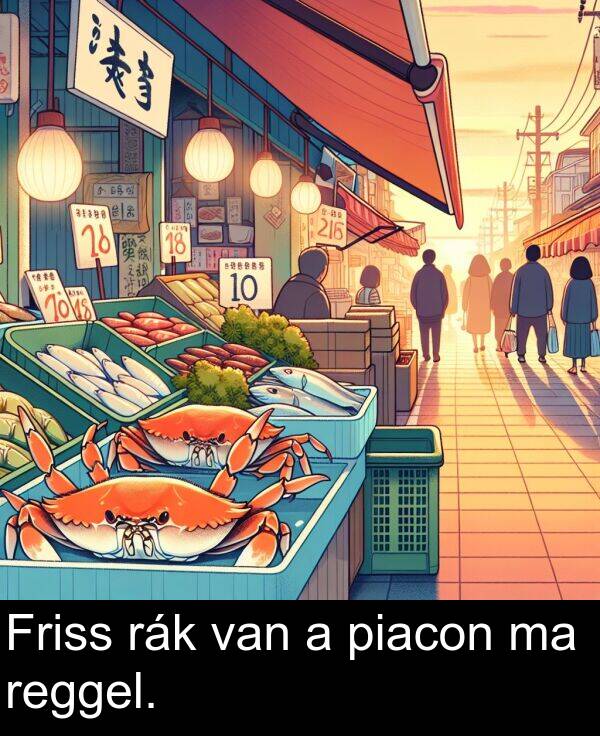 rák: Friss rák van a piacon ma reggel.