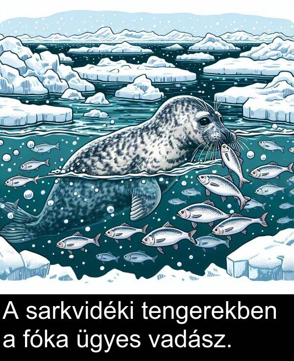 sarkvidéki: A sarkvidéki tengerekben a fóka ügyes vadász.