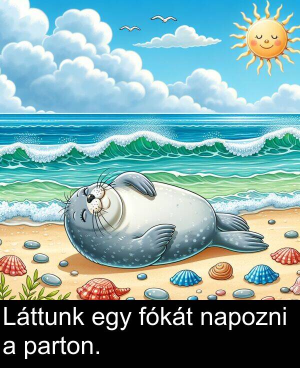 napozni: Láttunk egy fókát napozni a parton.