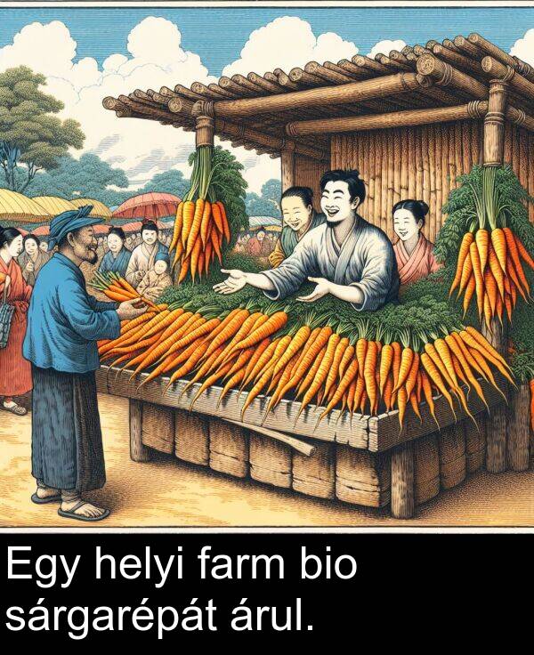 sárgarépát: Egy helyi farm bio sárgarépát árul.