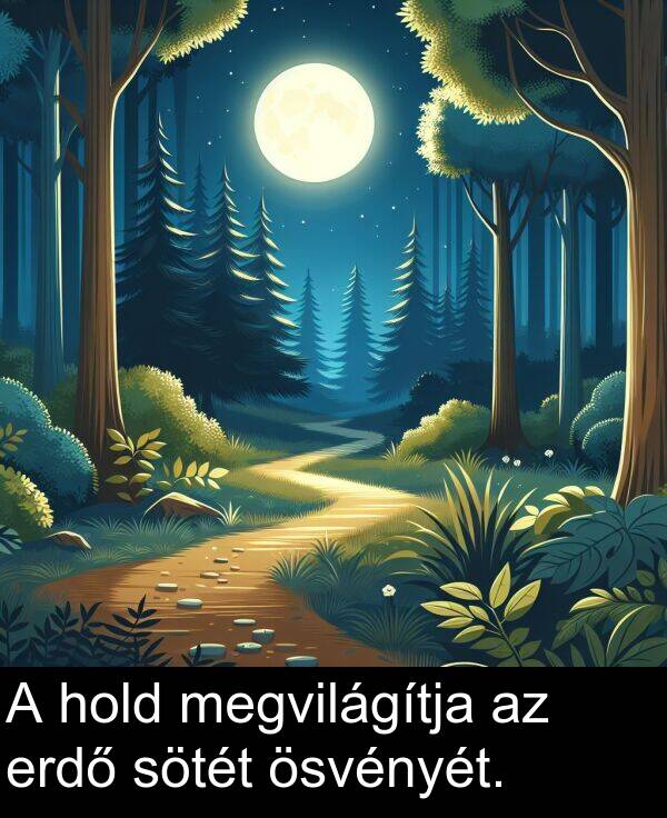 megvilágítja: A hold megvilágítja az erdő sötét ösvényét.