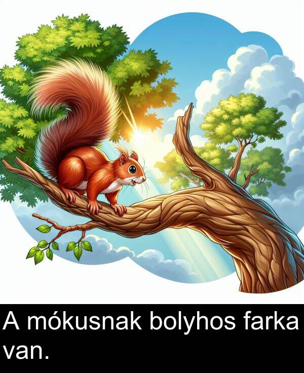 mókusnak: A mókusnak bolyhos farka van.