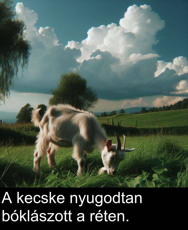 nyugodtan: A kecske nyugodtan bóklászott a réten.
