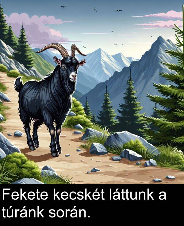 során: Fekete kecskét láttunk a túránk során.