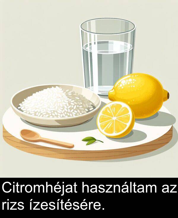 használtam: Citromhéjat használtam az rizs ízesítésére.