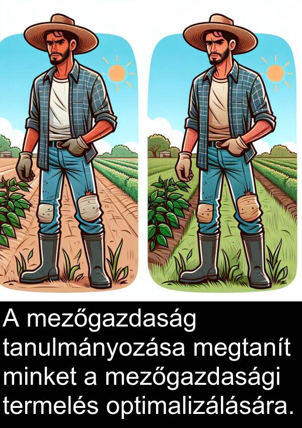mezőgazdaság: A mezőgazdaság tanulmányozása megtanít minket a mezőgazdasági termelés optimalizálására.