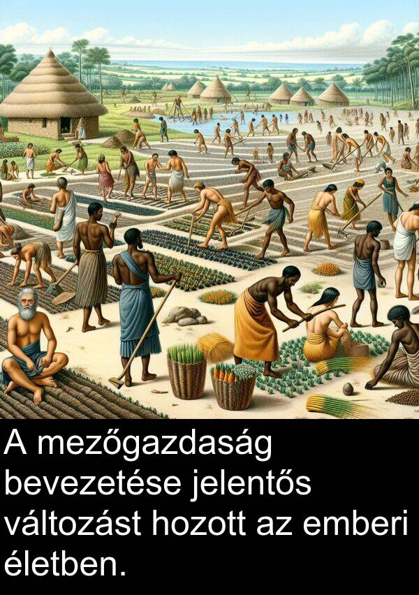 mezőgazdaság: A mezőgazdaság bevezetése jelentős változást hozott az emberi életben.