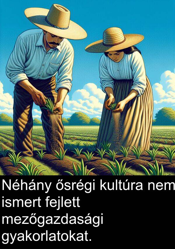 mezőgazdasági: Néhány ősrégi kultúra nem ismert fejlett mezőgazdasági gyakorlatokat.
