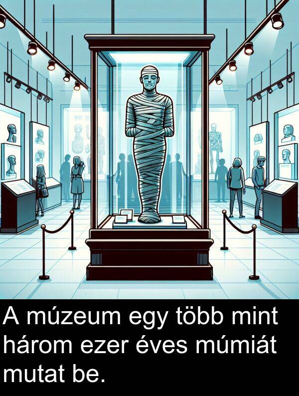 múmiát: A múzeum egy több mint három ezer éves múmiát mutat be.