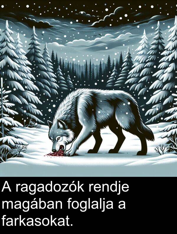 magában: A ragadozók rendje magában foglalja a farkasokat.