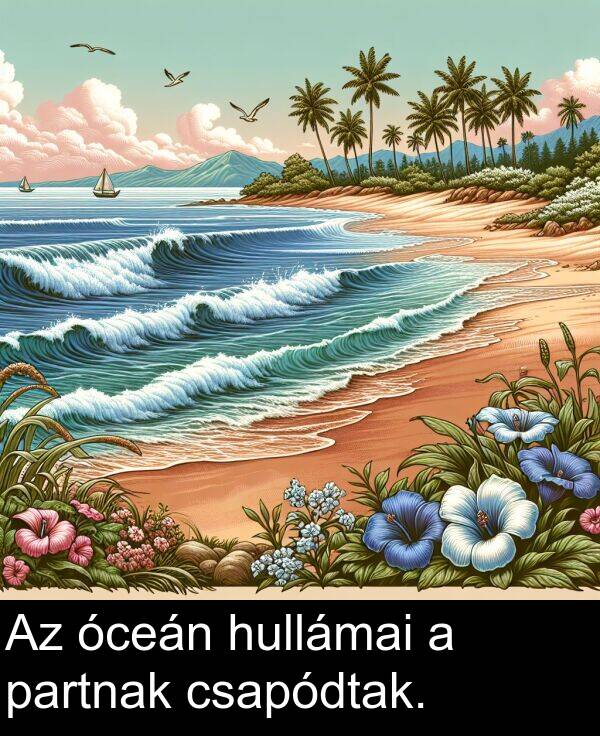 óceán: Az óceán hullámai a partnak csapódtak.