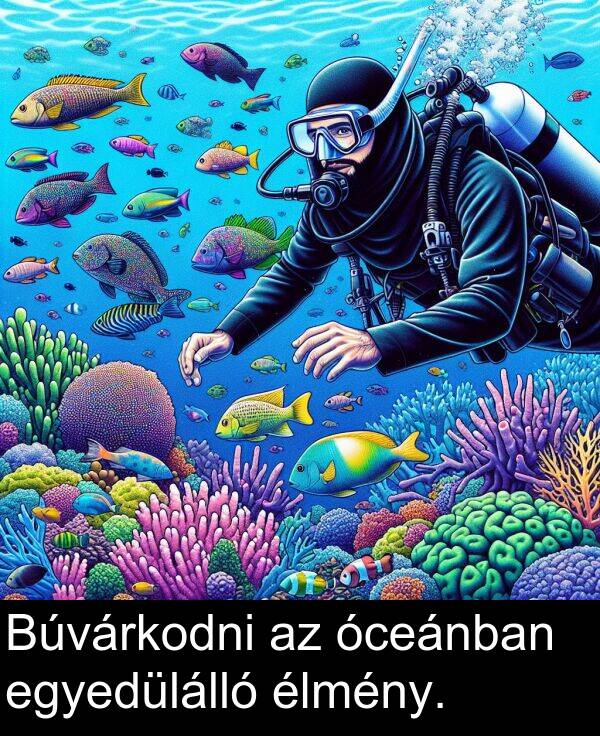 óceánban: Búvárkodni az óceánban egyedülálló élmény.
