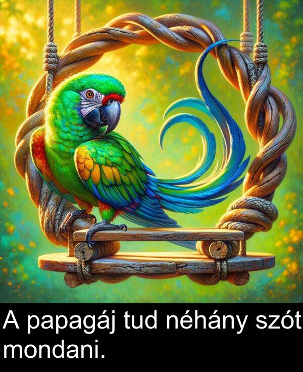 papagáj: A papagáj tud néhány szót mondani.