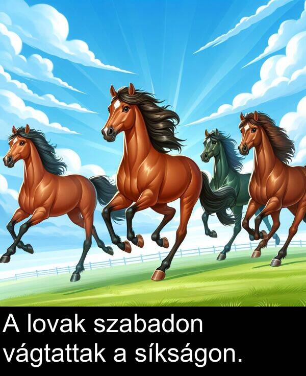 vágtattak: A lovak szabadon vágtattak a síkságon.