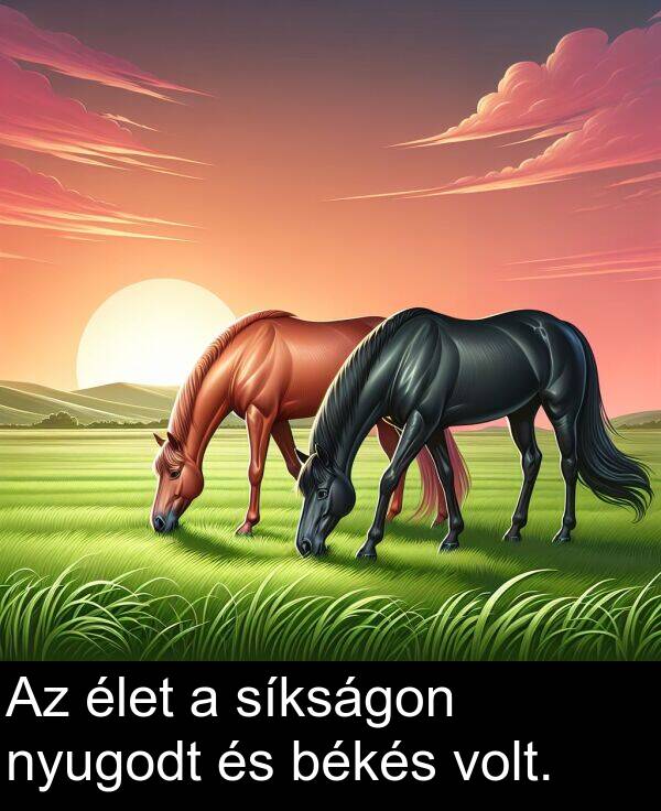 síkságon: Az élet a síkságon nyugodt és békés volt.