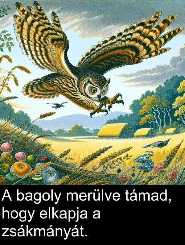 zsákmányát: A bagoly merülve támad, hogy elkapja a zsákmányát.