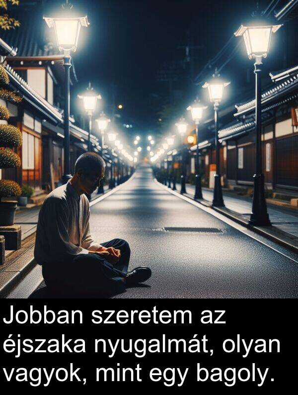 vagyok: Jobban szeretem az éjszaka nyugalmát, olyan vagyok, mint egy bagoly.