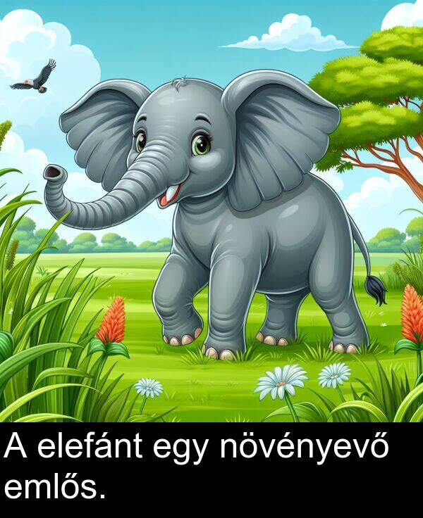 növényevő: A elefánt egy növényevő emlős.