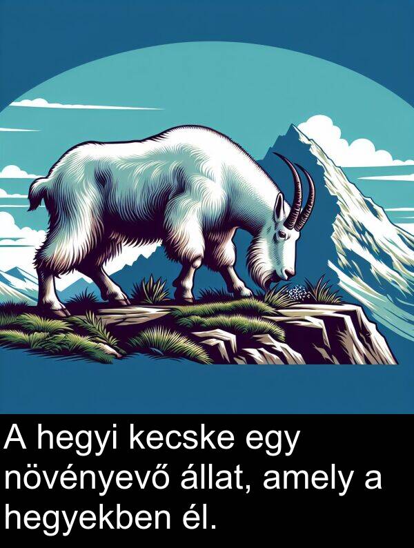 hegyi: A hegyi kecske egy növényevő állat, amely a hegyekben él.