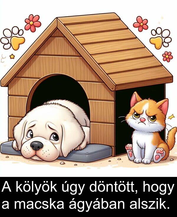 úgy: A kölyök úgy döntött, hogy a macska ágyában alszik.