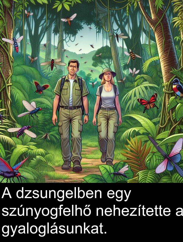 dzsungelben: A dzsungelben egy szúnyogfelhő nehezítette a gyaloglásunkat.