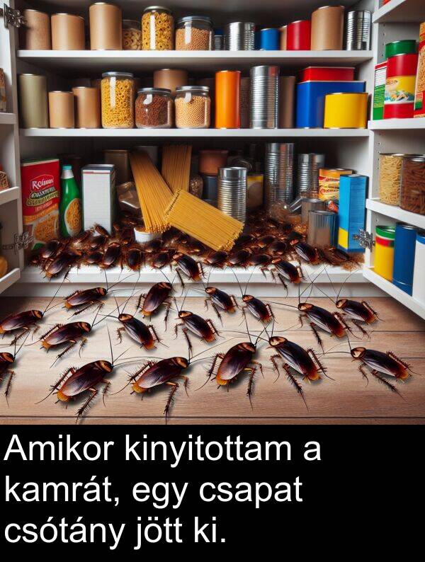 csótány: Amikor kinyitottam a kamrát, egy csapat csótány jött ki.