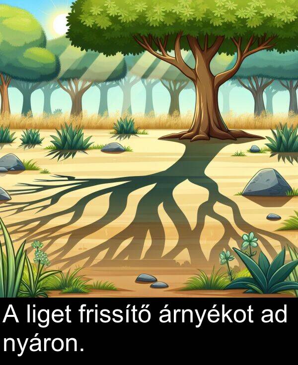 nyáron: A liget frissítő árnyékot ad nyáron.