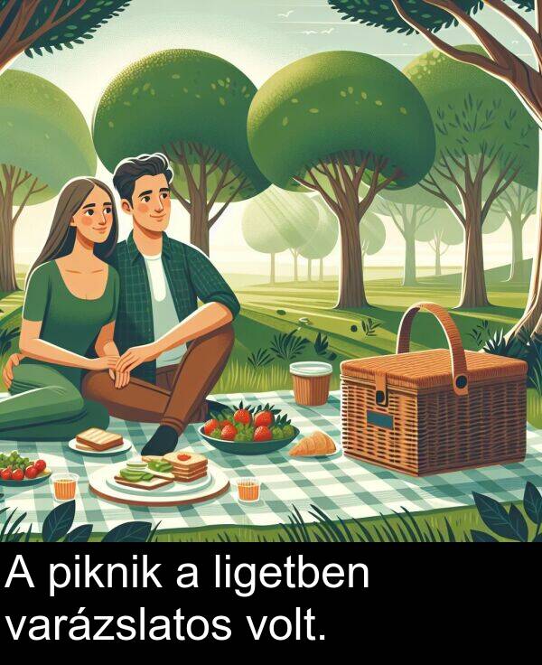 piknik: A piknik a ligetben varázslatos volt.