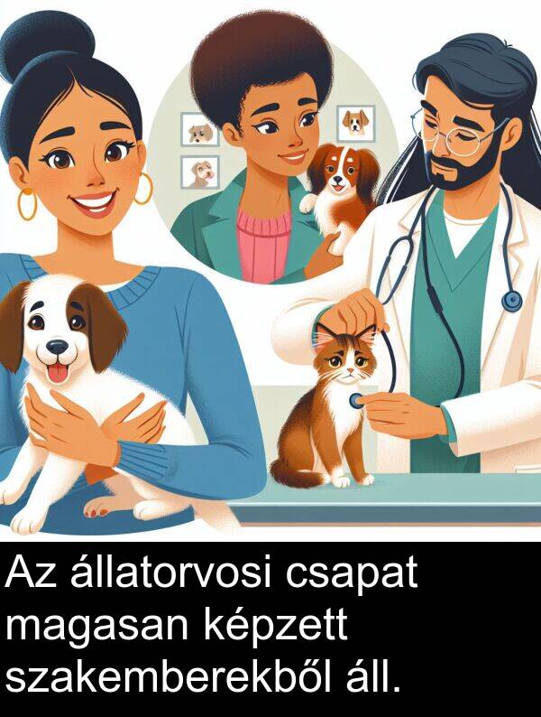 áll: Az állatorvosi csapat magasan képzett szakemberekből áll.