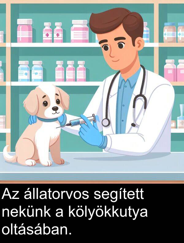 oltásában: Az állatorvos segített nekünk a kölyökkutya oltásában.