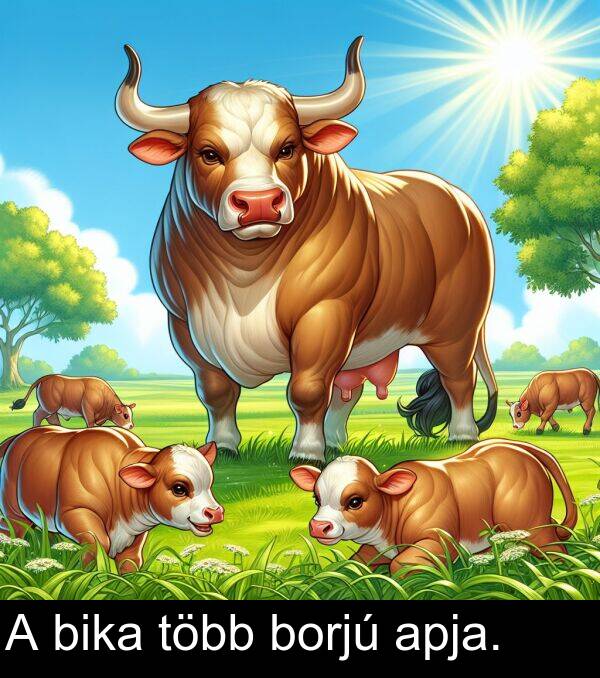 bika: A bika több borjú apja.